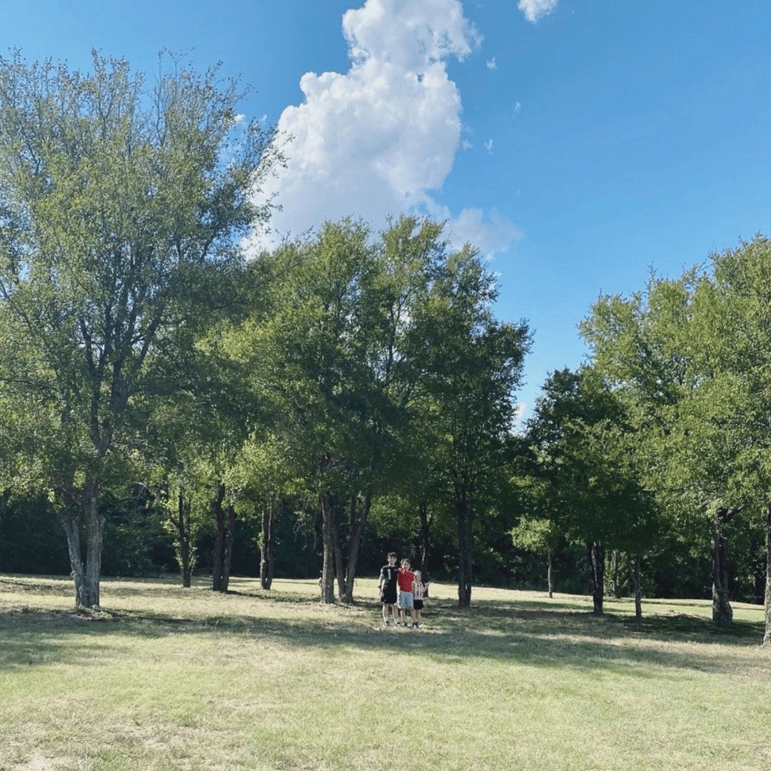 The land we bought